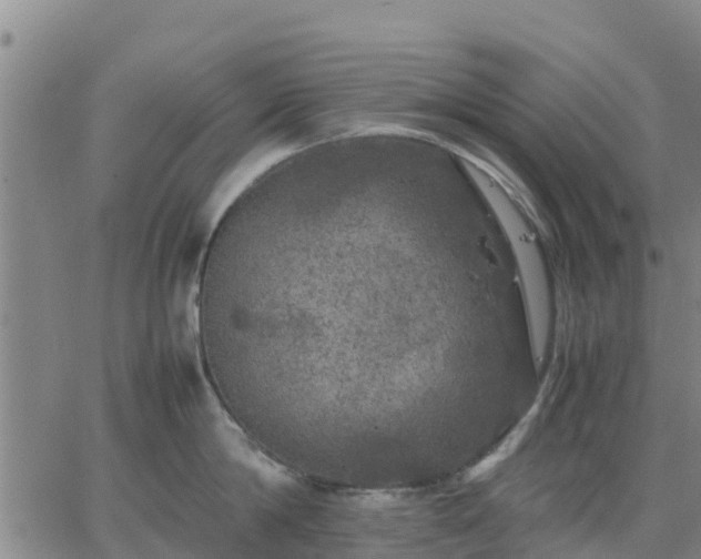 X0000063460814200601271602