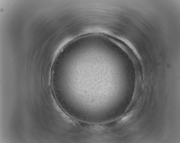 X0000063460815200601271602