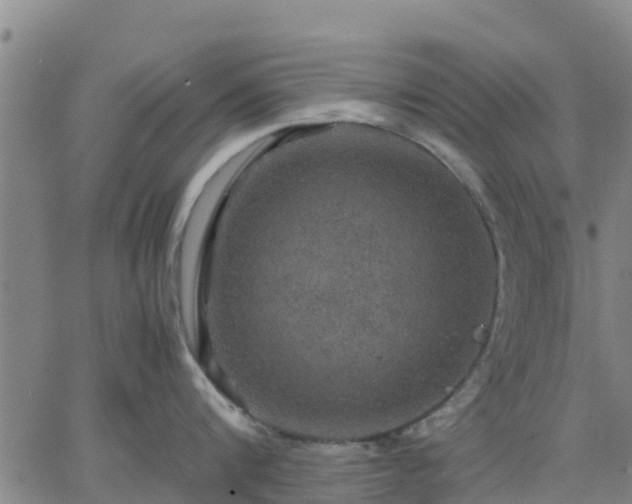 X0000063460816200601271602