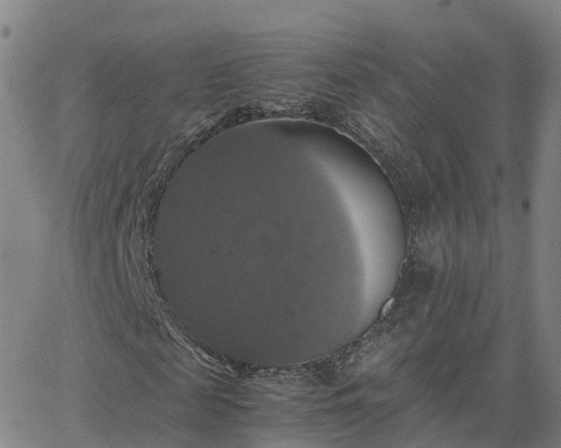 X0000063460817200601271602