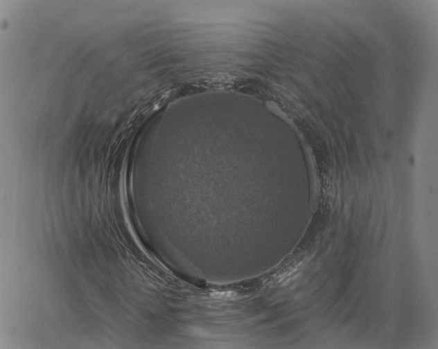 X0000063460818200601271602