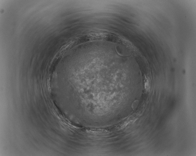 X0000063460819200601271602