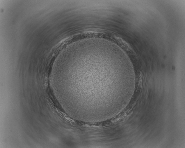 X0000063460821200601271602