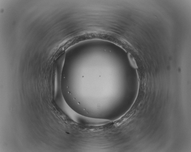 X0000063460822200601271602