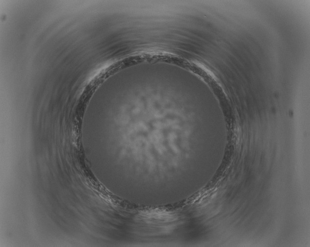 X0000063460823200601271602