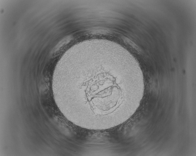 X0000063460824200601271602