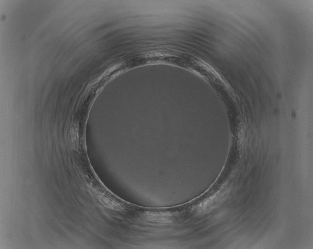 X0000063460825200601271602