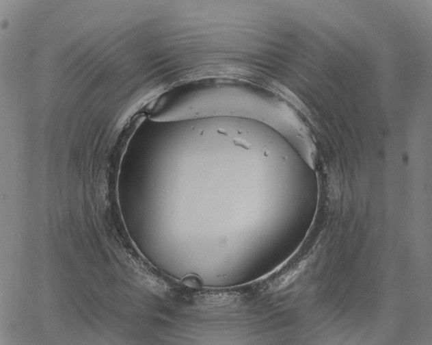 X0000063460826200601271602