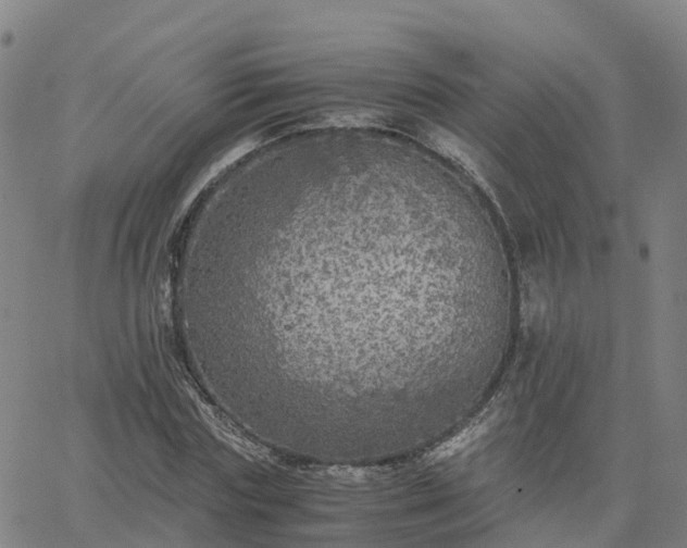 X0000063460827200601271602