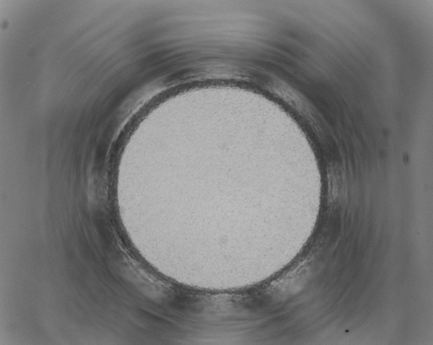 X0000063460828200601271602