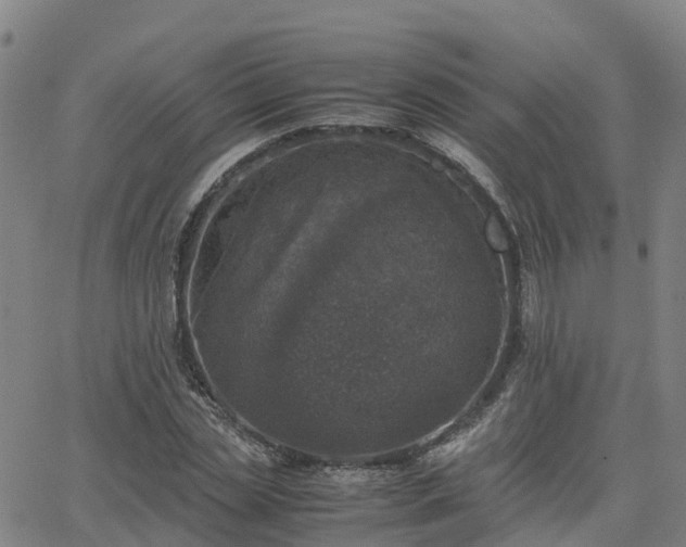 X0000063460829200601271602