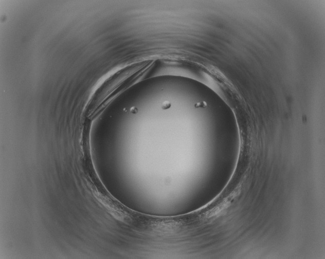 X0000063460830200601271602