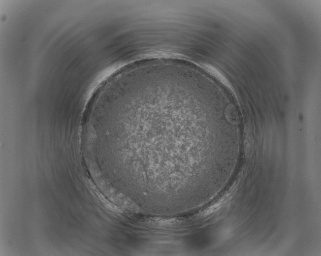 X0000063460831200601271602