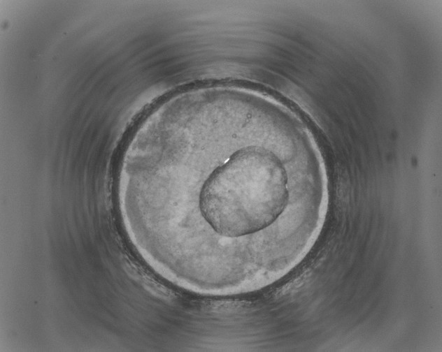 X0000063460832200601271602