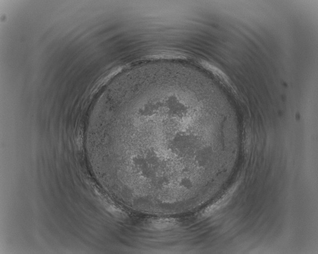 X0000063460833200601271602