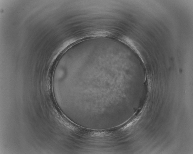 X0000063460835200601271602