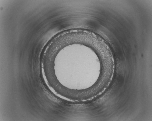 X0000063460836200601271602