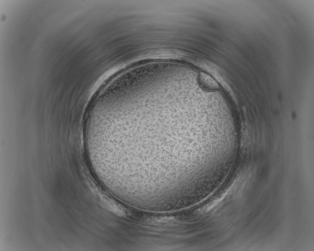 X0000063460837200601271602