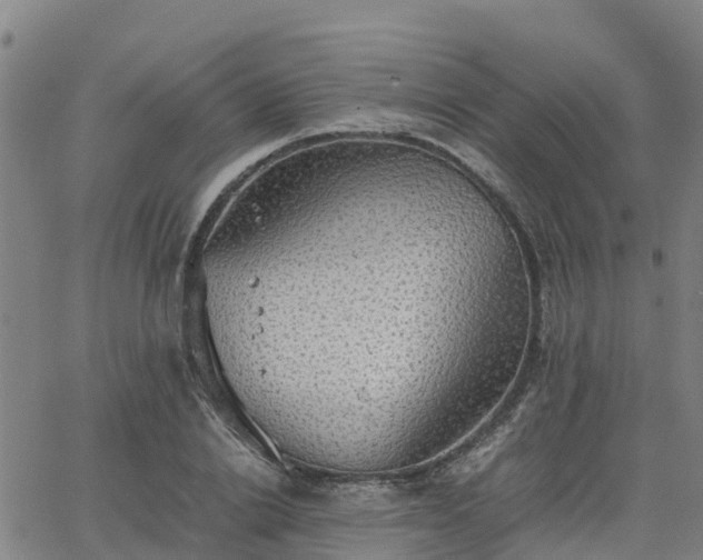 X0000063460838200601271602