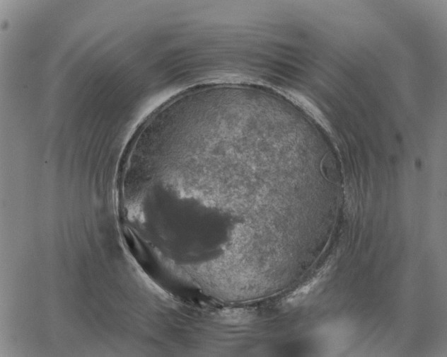 X0000063460839200601271602