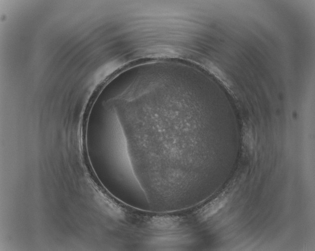 X0000063460840200601271602