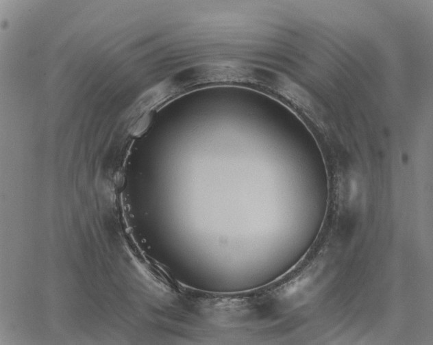 X0000063460841200601271602