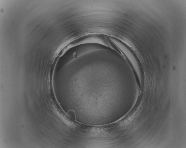 X0000063460842200601271602