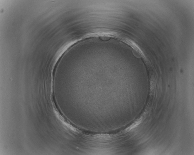 X0000063460844200601271602