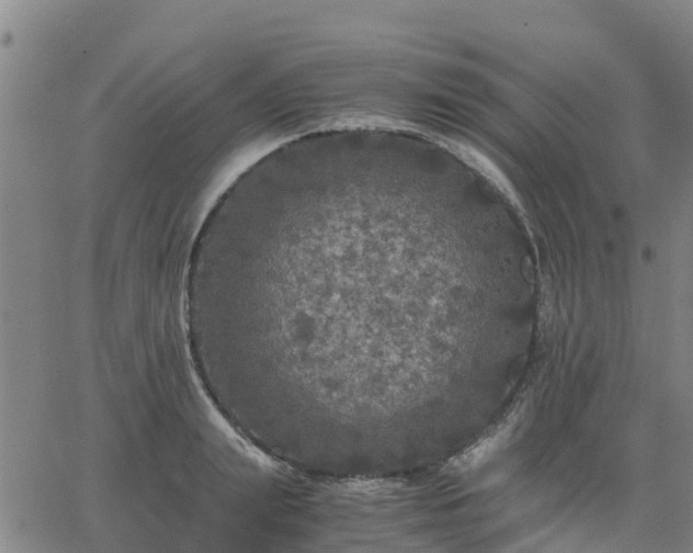 X0000063460847200601271602