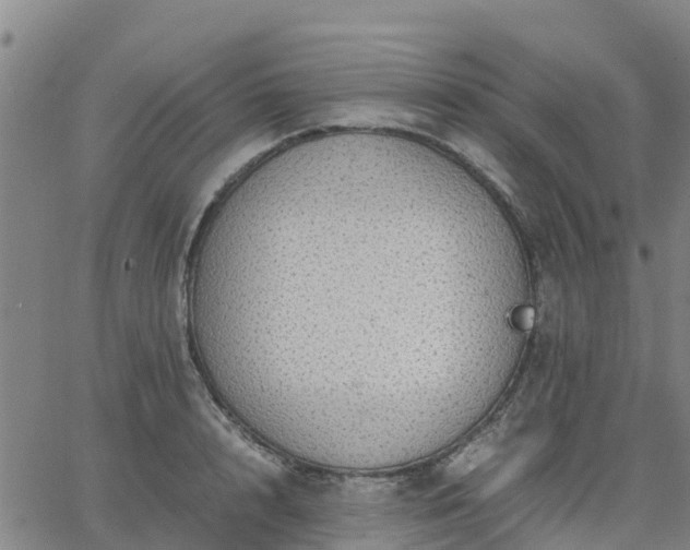 X0000063460848200601271602