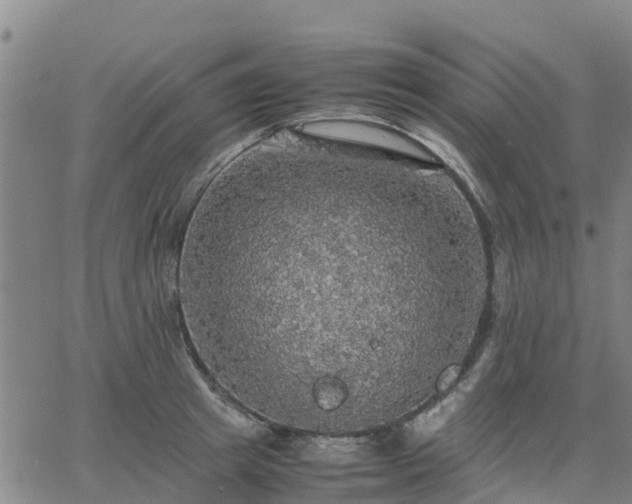 X0000063460849200601271602