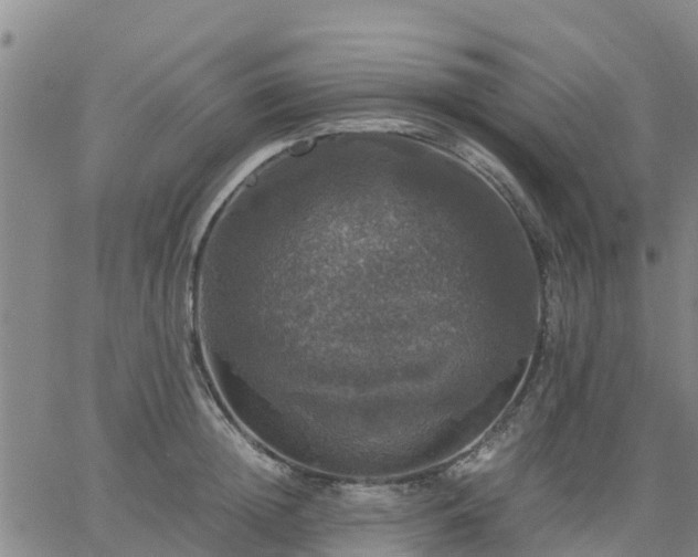 X0000063460852200601271602