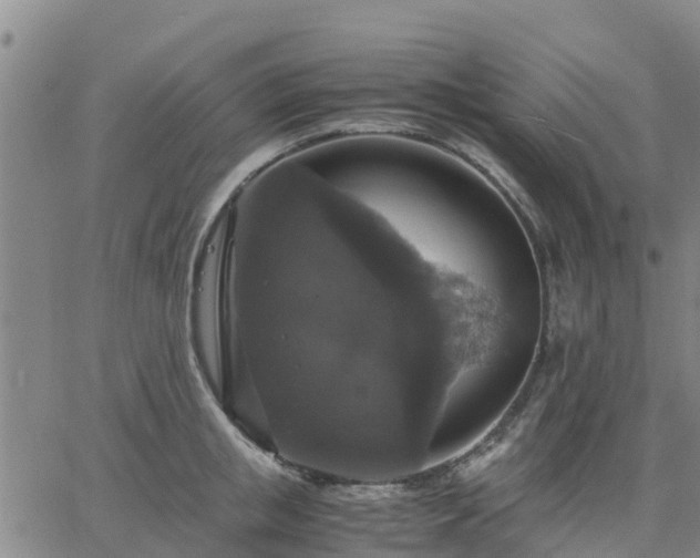 X0000063460853200601271602