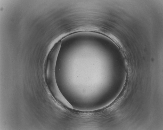 X0000063460854200601271602