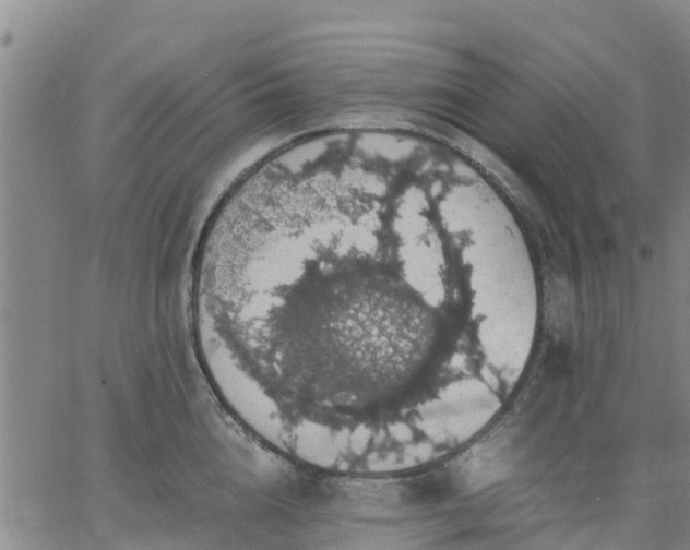 X0000063460856200601271602