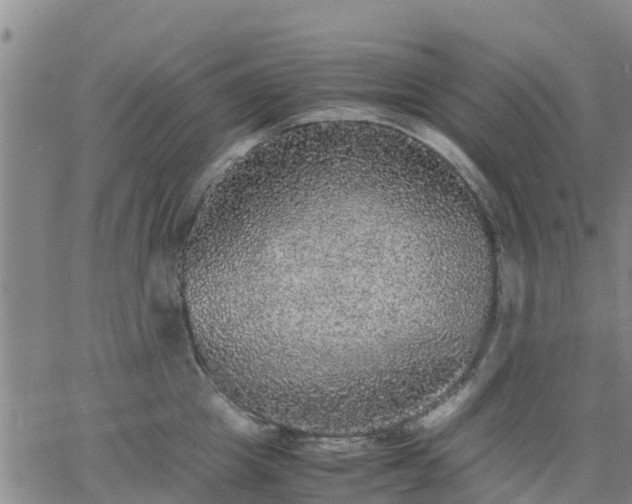 X0000063460857200601271602