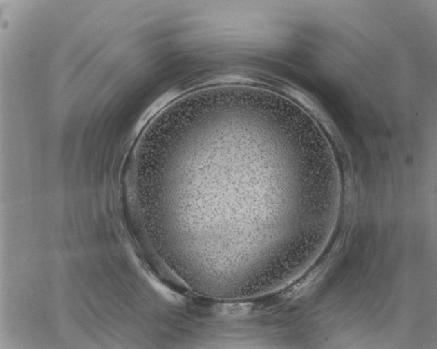 X0000063460858200601271602