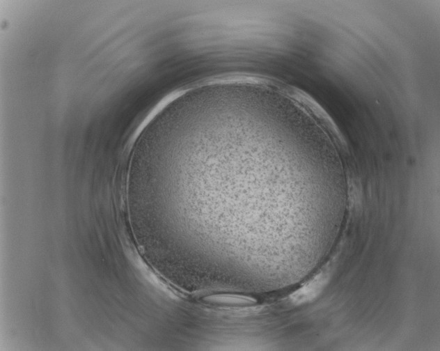 X0000063460860200601271602