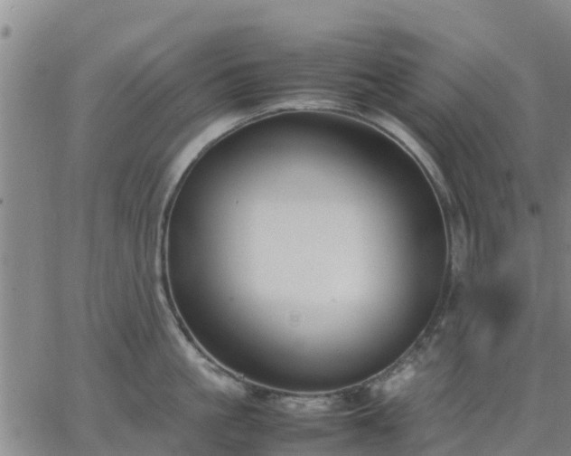 X0000063460861200601271602