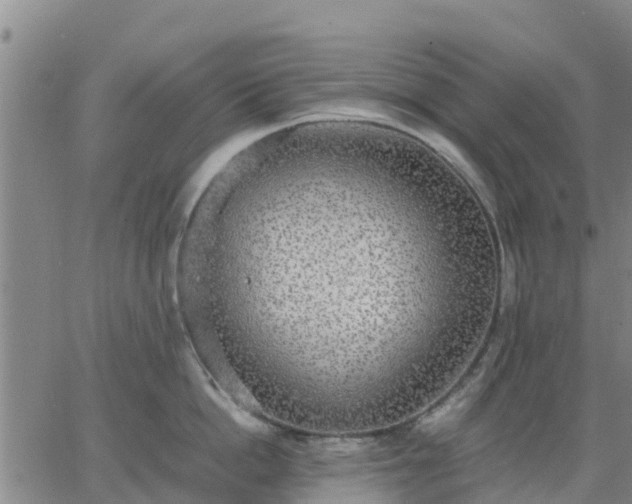 X0000063460862200601271602