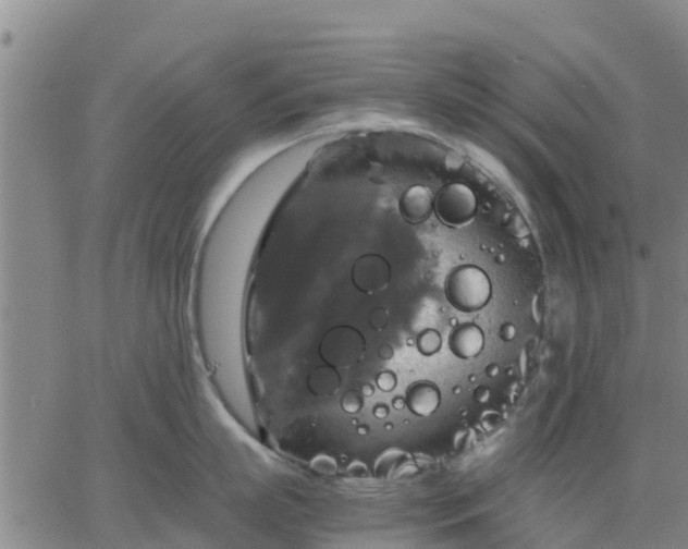 X0000063460863200601271602