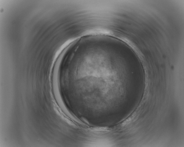 X0000063460864200601271602