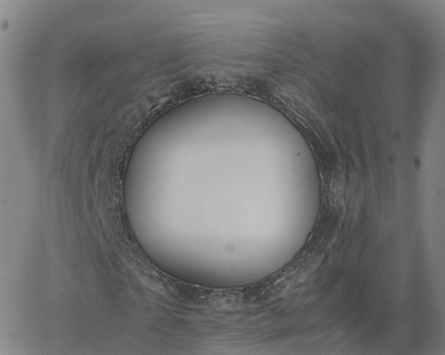 X0000063460865200601271602