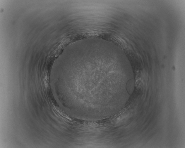 X0000063460866200601271602