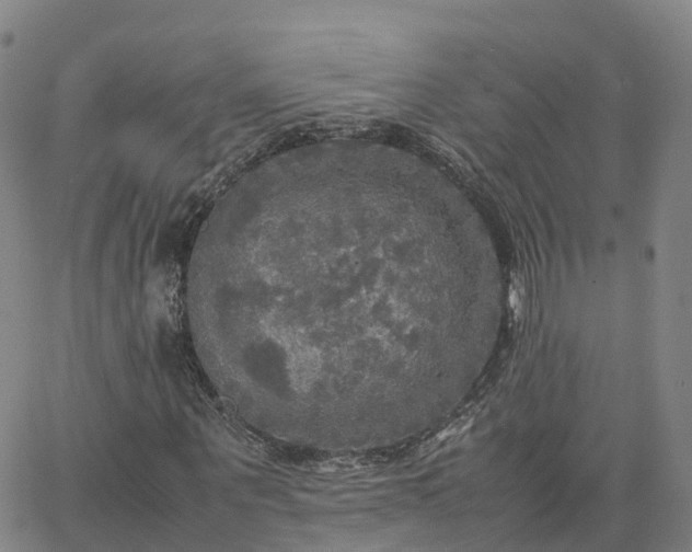 X0000063460867200601271602