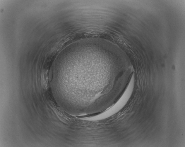 X0000063460868200601271602