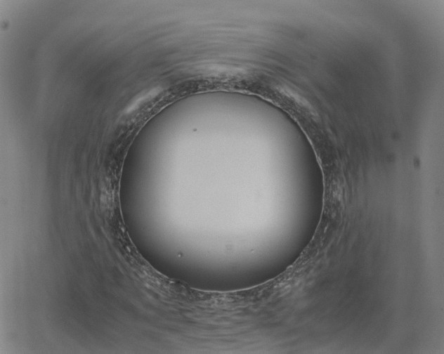 X0000063460869200601271602