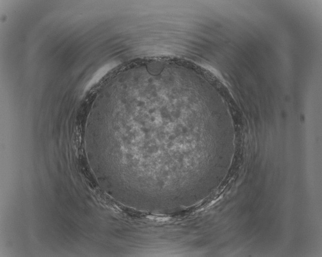 X0000063460871200601271602