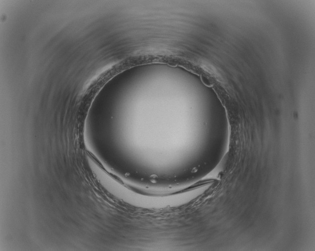 X0000063460872200601271602