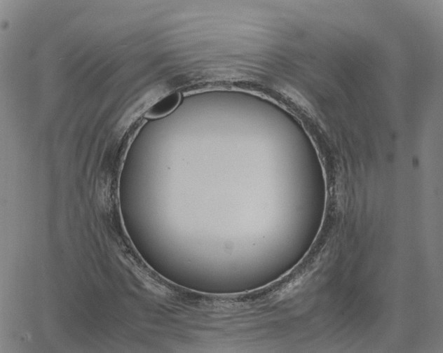 X0000063460873200601271602